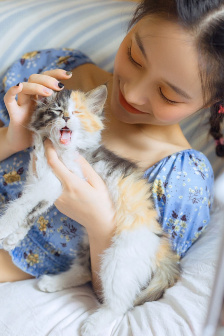 玩偶姐姐在线视频播放